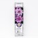 Clematis large -flowered "Nelly Moser", 1 pc, tube, spring 2025