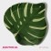 Glass Serving shares "Monster", 21 × 21 cm, green color