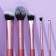 Charming makeup kit: brushes 5 pcs and sponge