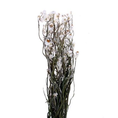 Sukhotzet "chrysanthemum", 60 g in packaging-1