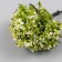 Artificial plant for creativity plastic "Blossoming apple tree" 6 cm