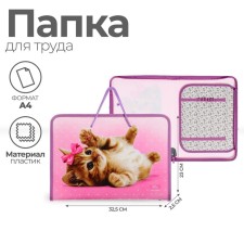 A4 labor folder with handles, 325 x 230 x 25 mm, zipper around, folding bar, plastic, PTR-6 calligrata 