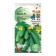 Cucumber seeds "Connie", "Children's bed", 10pcs