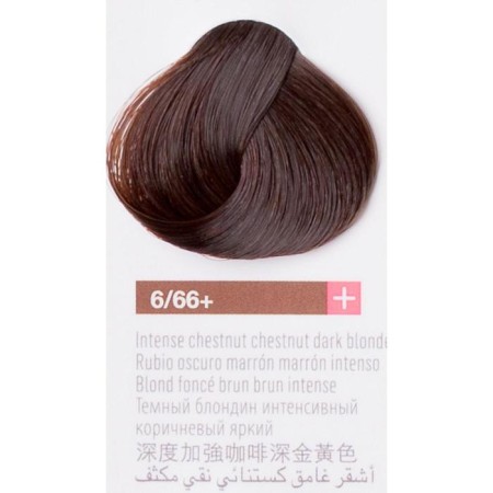 Lakme Collage+ Cream-Color, tone 6/66+ dark blond intense brown bright, 60 ml