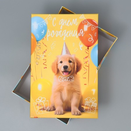 Gift rectangular, packaging, “Happy Birthday”, 24 x 15.5 x 9.5 cm-2