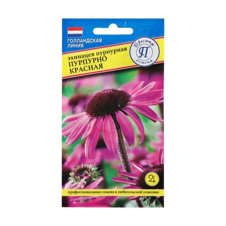Echinacea flower seeds "purple red", 20 pcs.