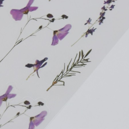 Stickers for creativity plastic "Iris" 21x10.5 cm-1