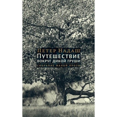 Traveling around a wild pear: a collection of little prose. Nadash Peter