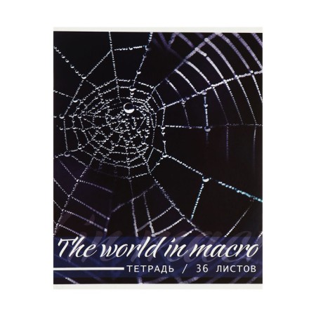 A set of notebooks of 5 pieces, 36 sheets in the Calligrata Micromium cage, covered cardboard, offset unit-5