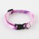 A collar for dogs and cats with Fasteks "Little Lady", 30x1 cm