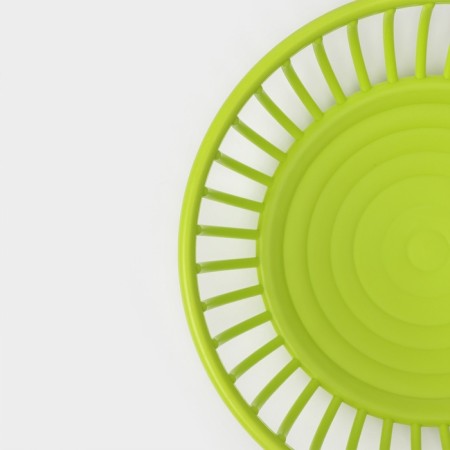 Fruitor Dilana "Discart", plastic, 21.5 × 6.7 cm, green-4