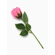 Soap rose pink in a box