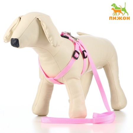 Set "Basis", leash 120 x 1.5 cm, OG 32-46 cm, pink