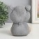 Growing gift grass "Cat gray" mix