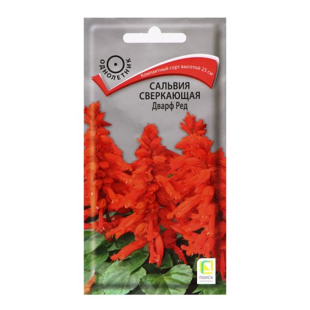 Salvia flowers sparkling "dwarf red", 0.1 g.