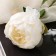 Artificial flowers "Rose aesthetics" 7x65 cm, white