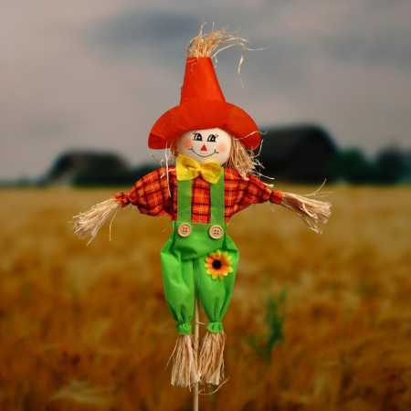 Garden scarecrow, h = 80 cm, mix, greengo-1