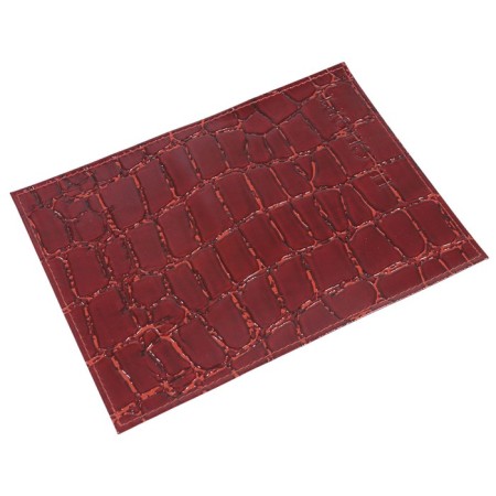 Cover for passport, red color