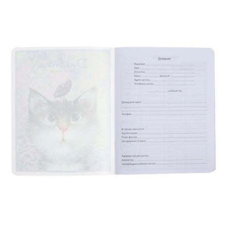 Universal 1-11 class diary, 48 sheets "who is there?", Color print, block 65g/m2-3