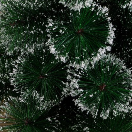 Cedar "hoar" layer stand, 60 cm D needles 10 cm branches 35 branches-1