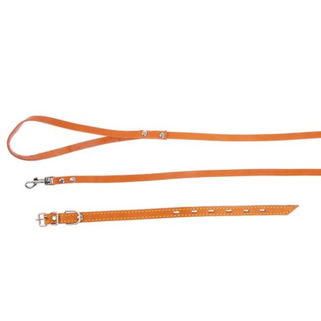 A set of colored leather for puppies Zononic, a collar 35 cm, leash 130 x 1.5 cm, mix-3