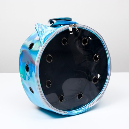 Round backpack for carrying animals, transparent, 26 cm, blue