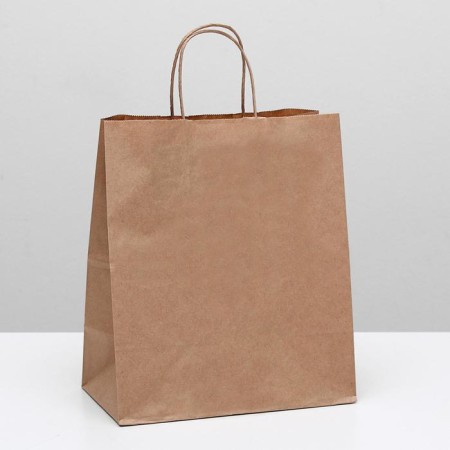 Craft package without printing, round handle 24 x 14 x 28 cm