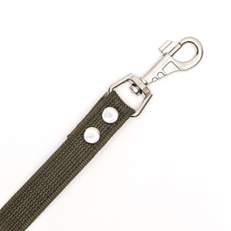 Land canvas 2 m x 2.5 cm, dark green-3