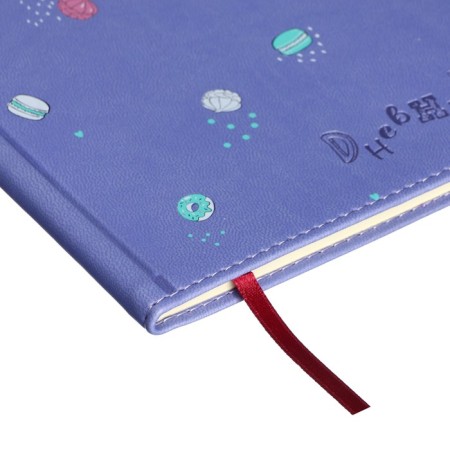 Universal diary for grades 1-11, 48 sheets, My Sweet. Donuts, covering artificial leather, lies, tinted block-2