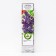 Ordinary lilac "Sensei", 1 pc, tube, spring 2025