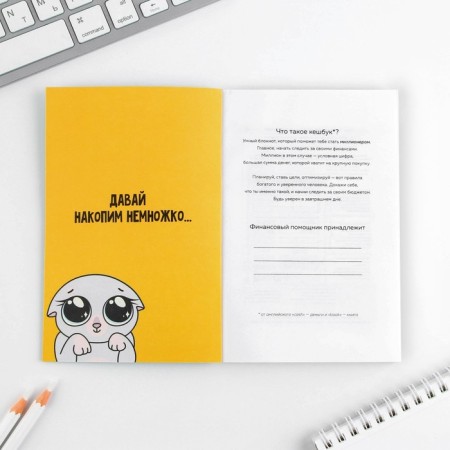 Smart notebook Cashbook A6, 68 sheets "Cash Cat"-2
