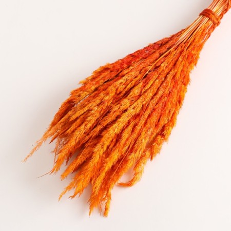 Set of dried flowers "Weinik", banch length 65 (+/- 6 cm), orange-2