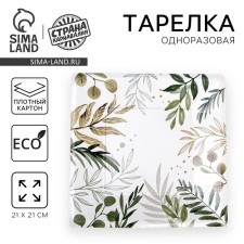 A disposable plate plate square 