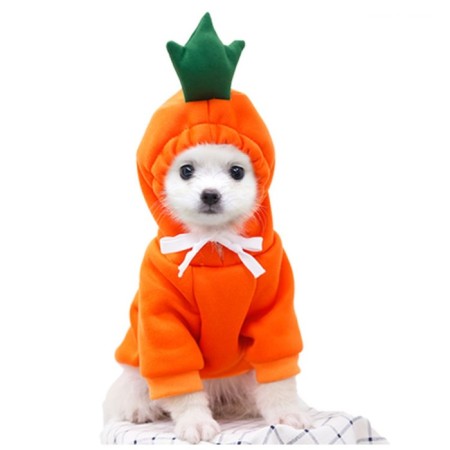 Sweep "Favorite Carrot", Size S (DS 25, OG 38cm)