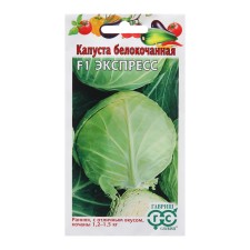 Cabbage seeds Belokoch. 
