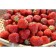 Strawberry Gardener Cherry Berry (Hanza), P9 Pot, Summer 2024
