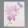 Gift Package Laminated, packaging, “Lines”, 25.4 x 30.5 x 12.7 cm