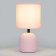 RIVOLI SHERON 1CHA14, 40 W Cramics Pink with a lampshade