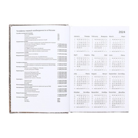 Dated diary 2025 A5 168 sheets, Attomex. Arkona, solid cover, boomvinyl with foam, liesse, block 70, gray-7