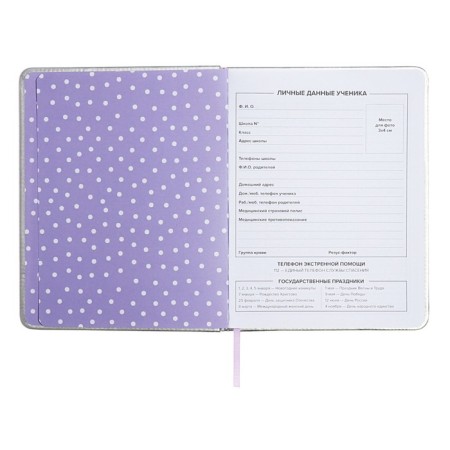 School diary for grades 1-11 "cat", firm covering with foam, artificial leather, application, foil embossing, liesse, 48 sheets, universal cheat sheet, block 80g/m2-5