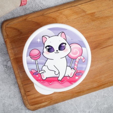Lunch box "Koshechka", 500 ml-2