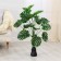 Artificial tree "Monster tropical" 80 cm