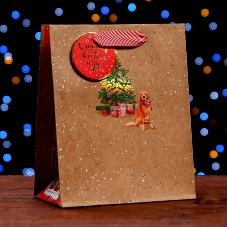 Gift package "Waiting for the New Year" 18 x 22.3 x 10 cm