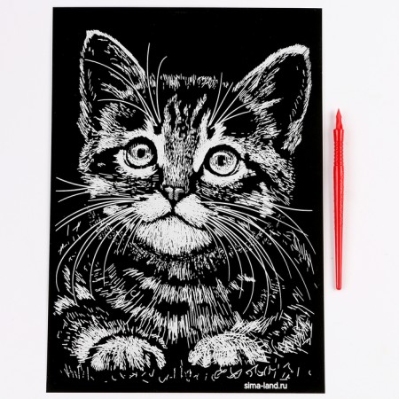 Engraving. Set of engravings "Family of cats", A4, 4 pcs-9