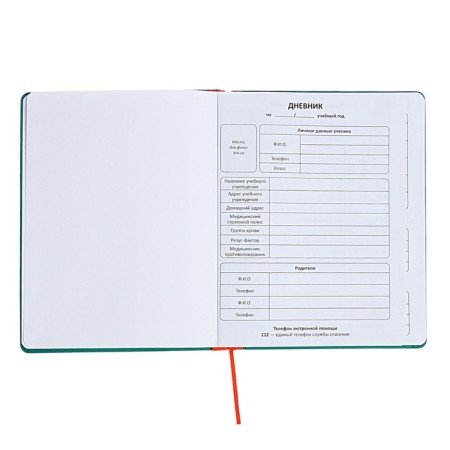 Universal diary for grades 1-11 Excellence, solid cover of artificial leather, silkography, lies, 48 ​​sheets, green-3