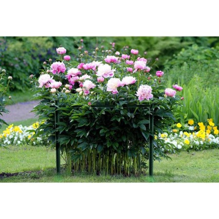 Builder, d = 56 cm, h = 55.5 cm, steel, black-1