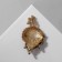 Brooch "Shell" in algae, colored in gold