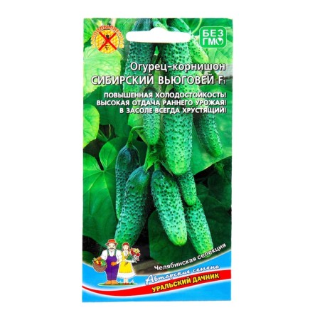 Seeds of the Siberian Blizzard Cucumber, 10 pcs