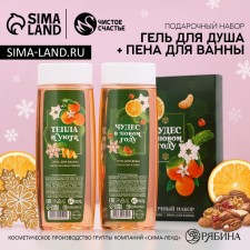 New Year. Gift set, shower gel and bath foam, 2 x 250 ml