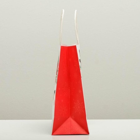 Package Gift Crafts "Olennok", 12 x 21 x 9 cm, New Year-2